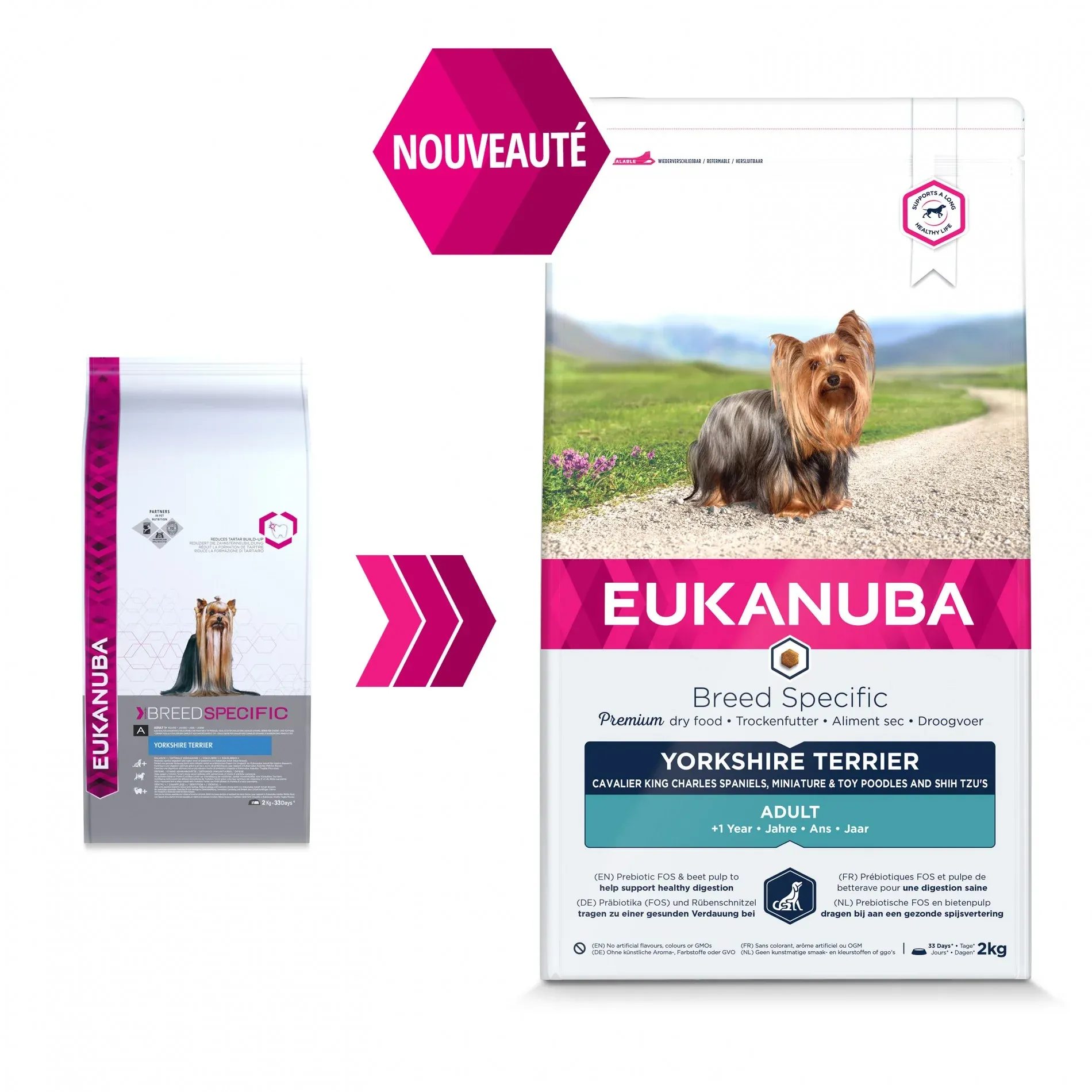 Eukanuba Breed Specific Yorkshire Terrier – Image 2