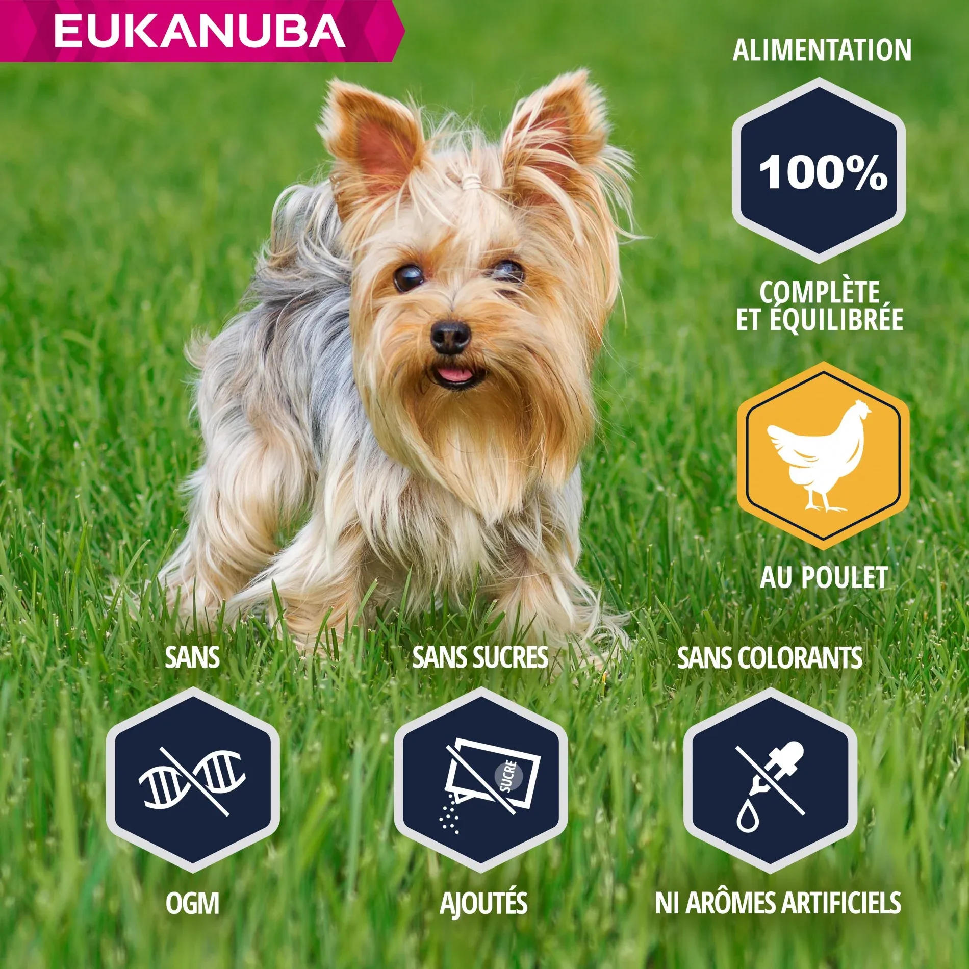 Eukanuba Breed Specific Yorkshire Terrier – Image 3