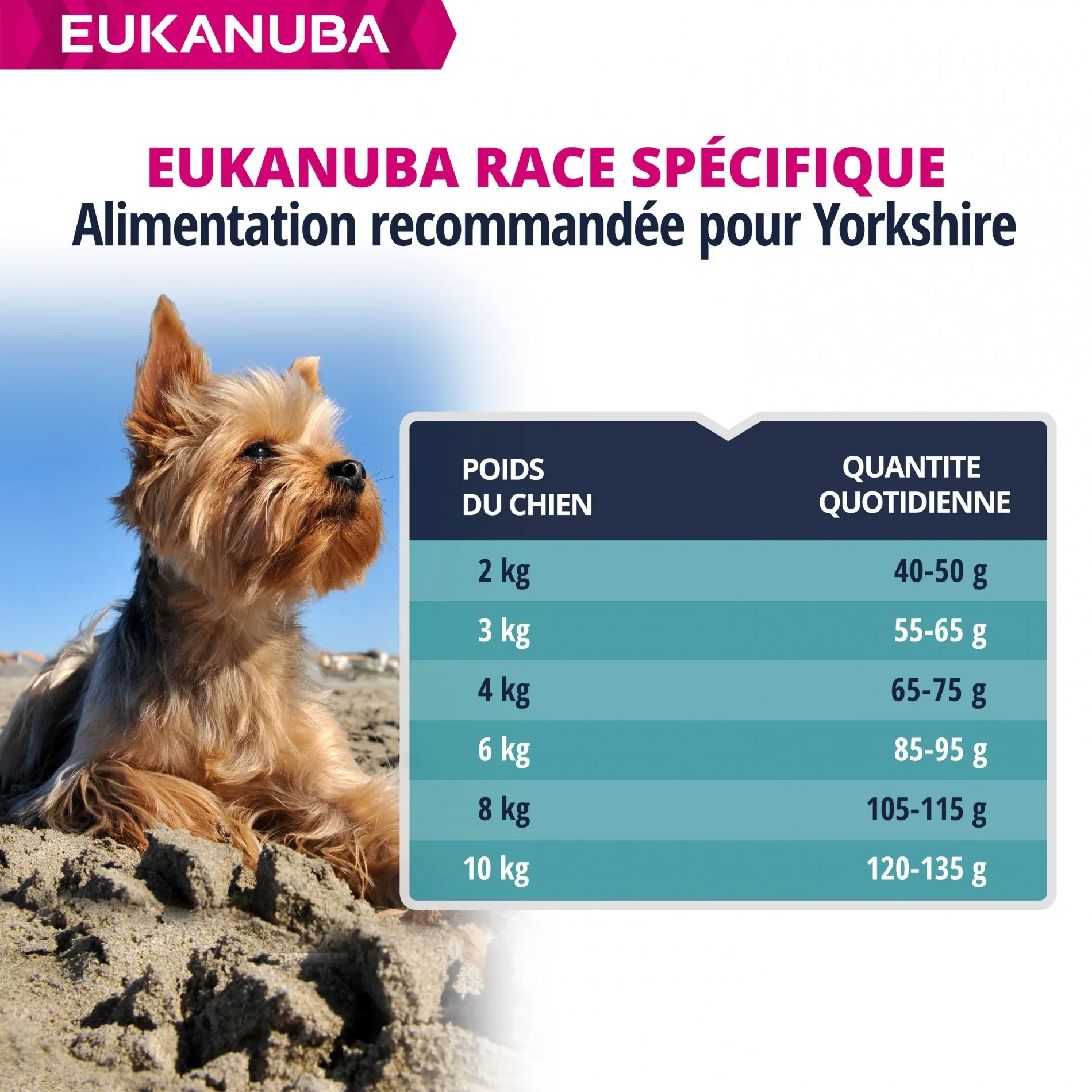 Eukanuba Breed Specific Yorkshire Terrier – Image 7