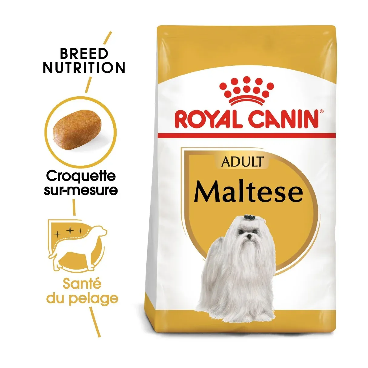 Royal Canin Bichon Maltais Adult