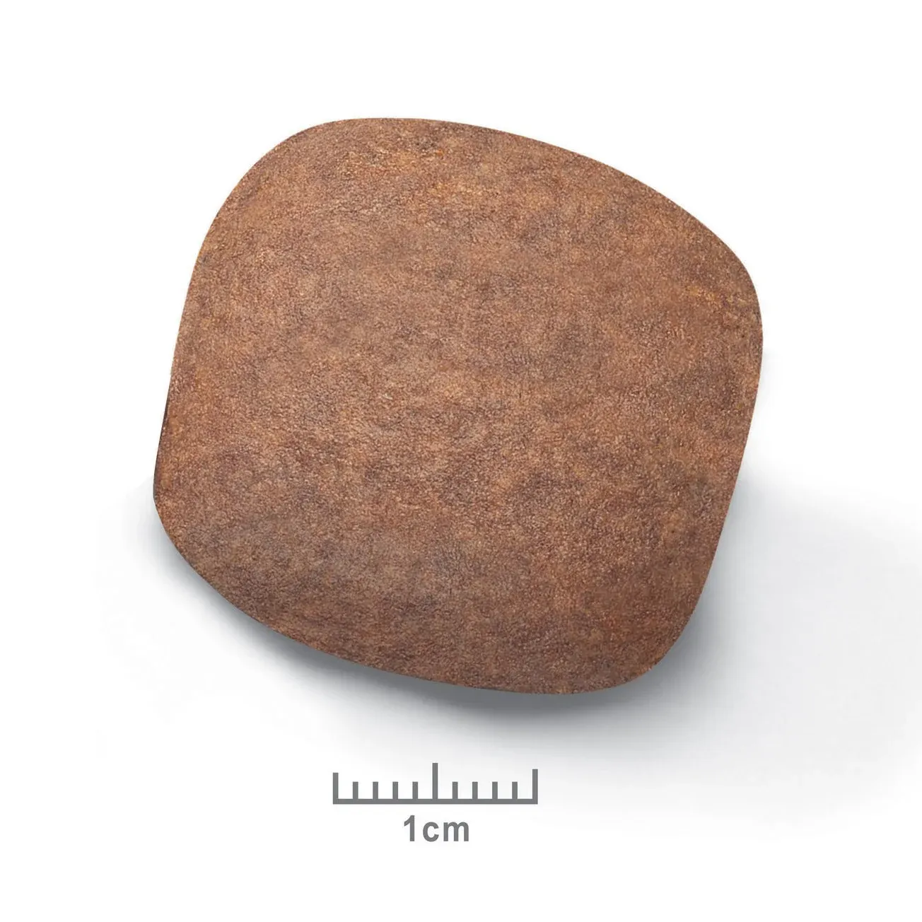 Royal Canin Giant Adult - Croquettes pour chien – Image 3