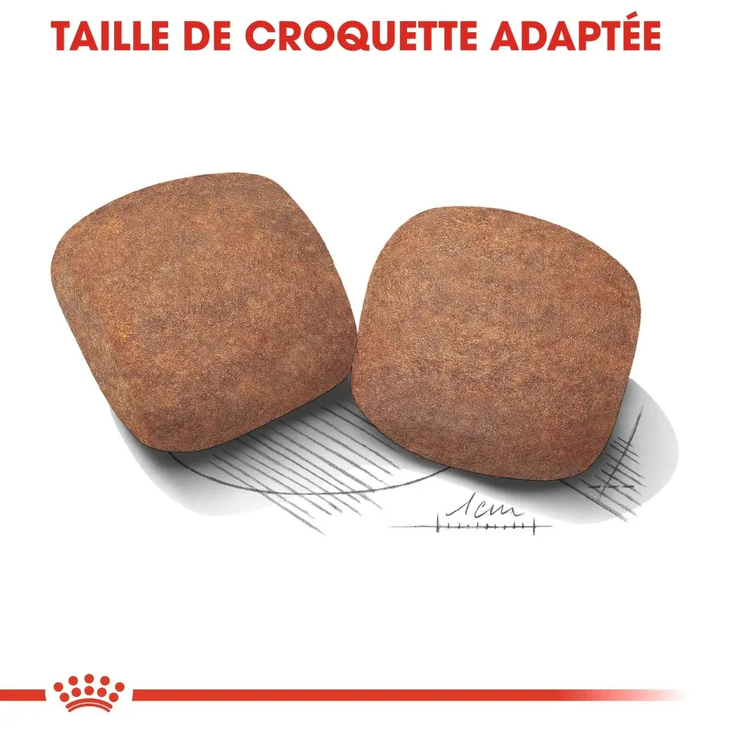 Royal Canin Giant Adult - Croquettes pour chien – Image 4
