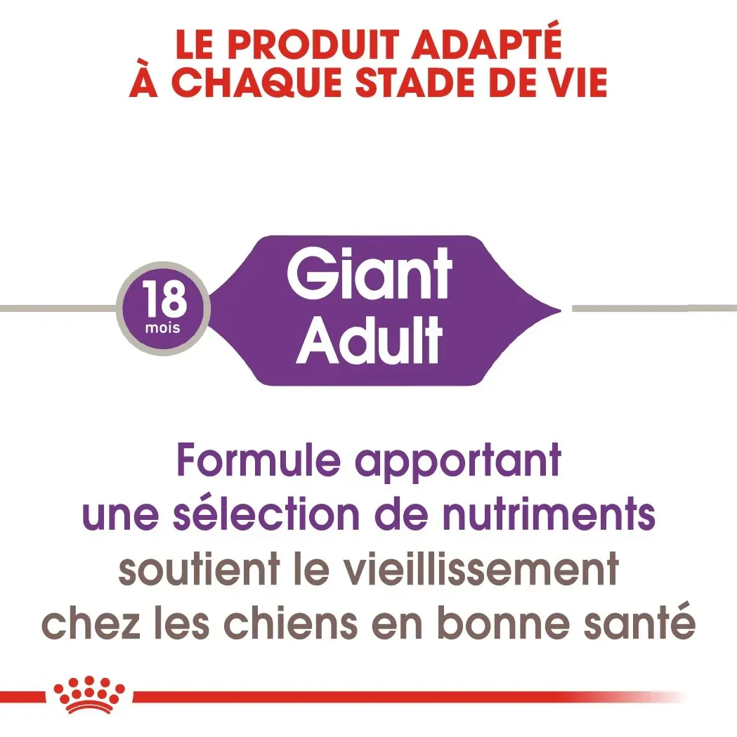 Royal Canin Giant Adult - Croquettes pour chien – Image 5