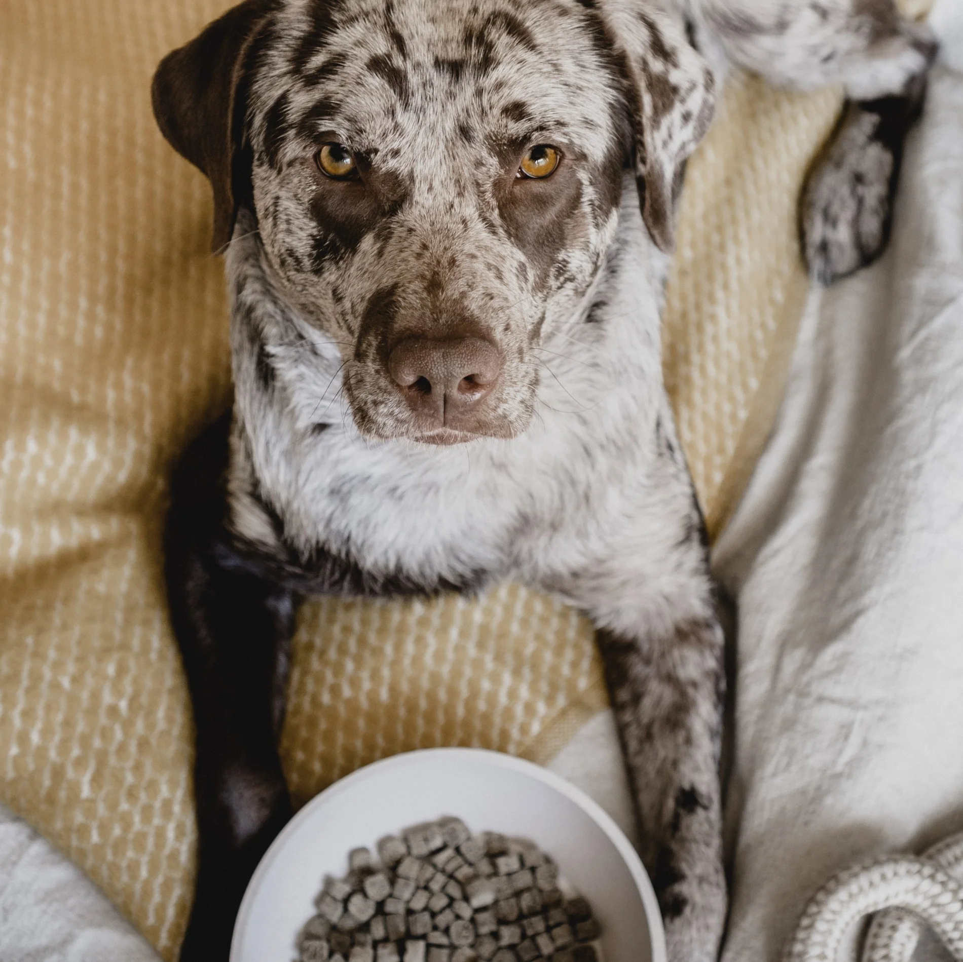 Gamelle Bamboo – Beige – Image 3