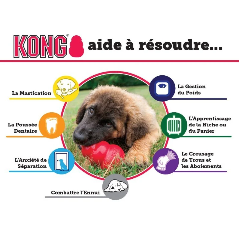 Jouet pour chiot KONG – Image 4