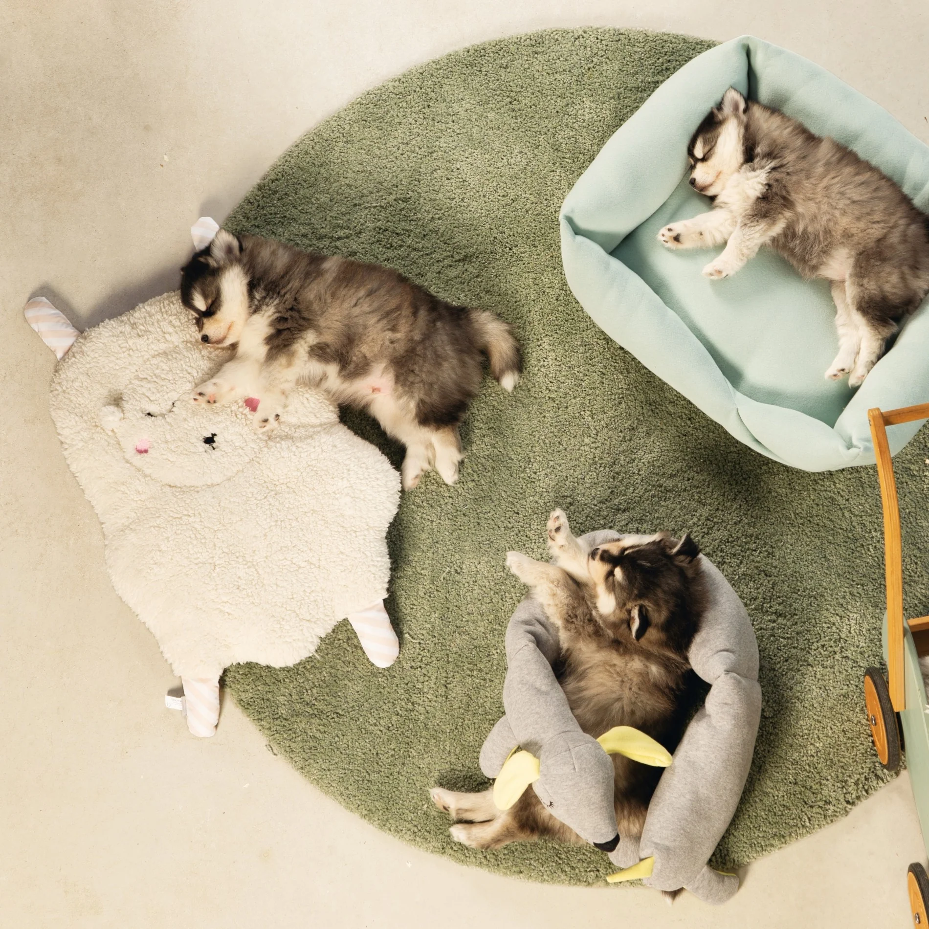 Doudou Cosy pour chiot – Image 3