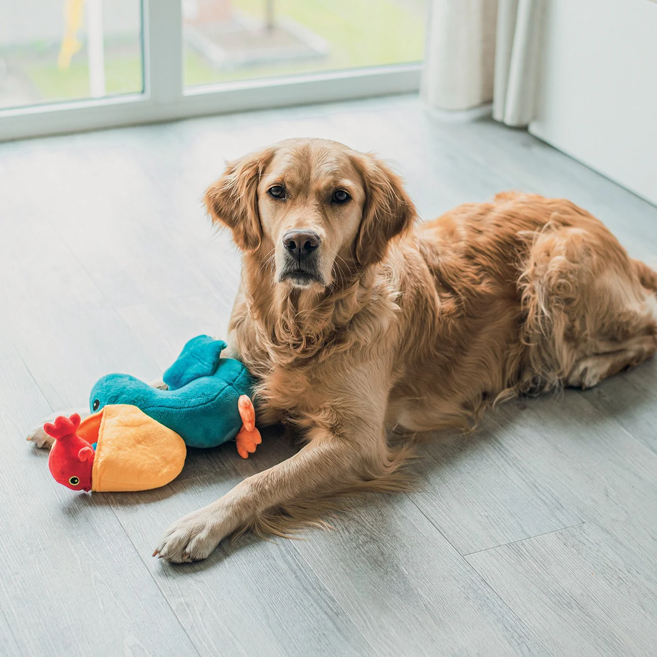 Peluche pélican – Image 2