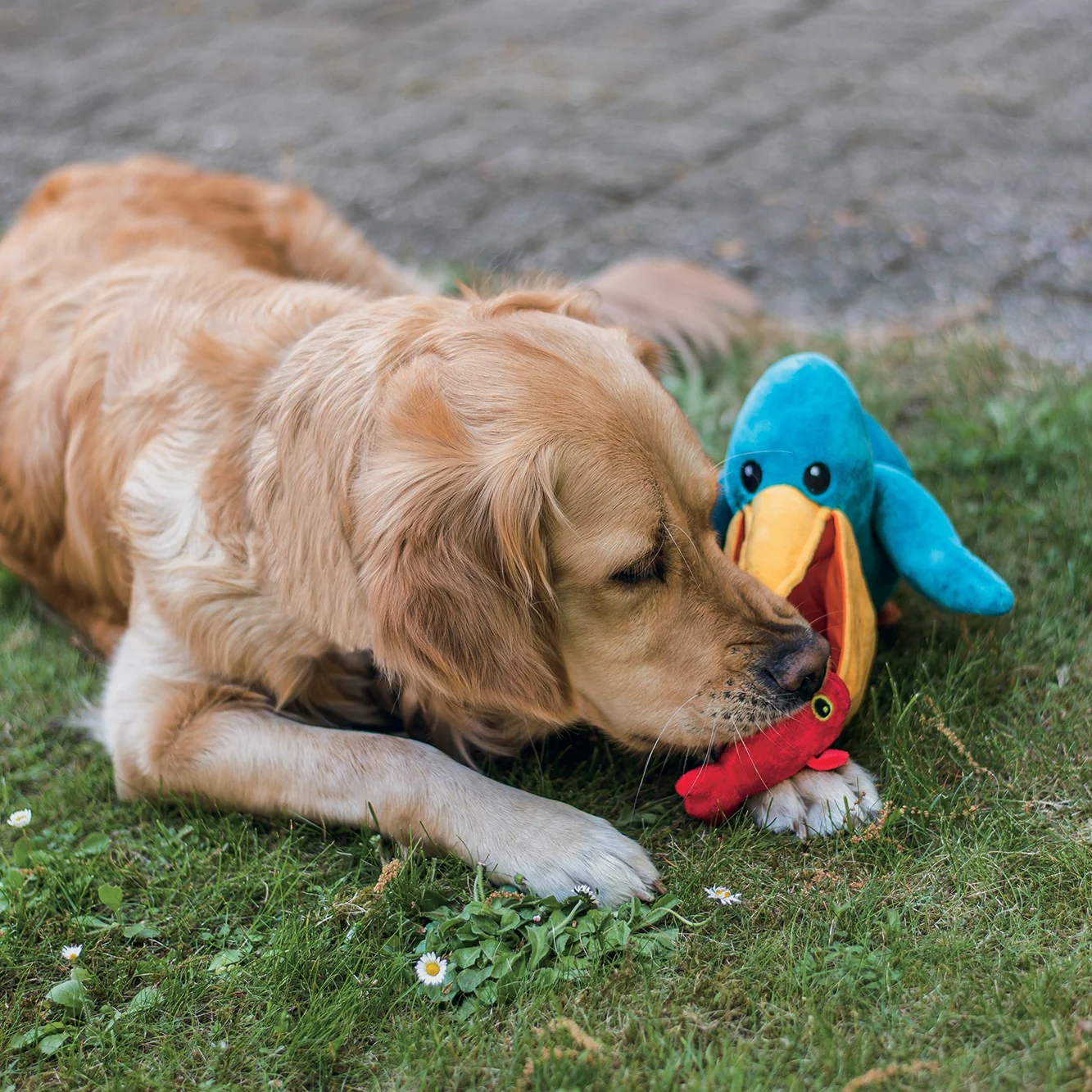 Peluche pélican – Image 3