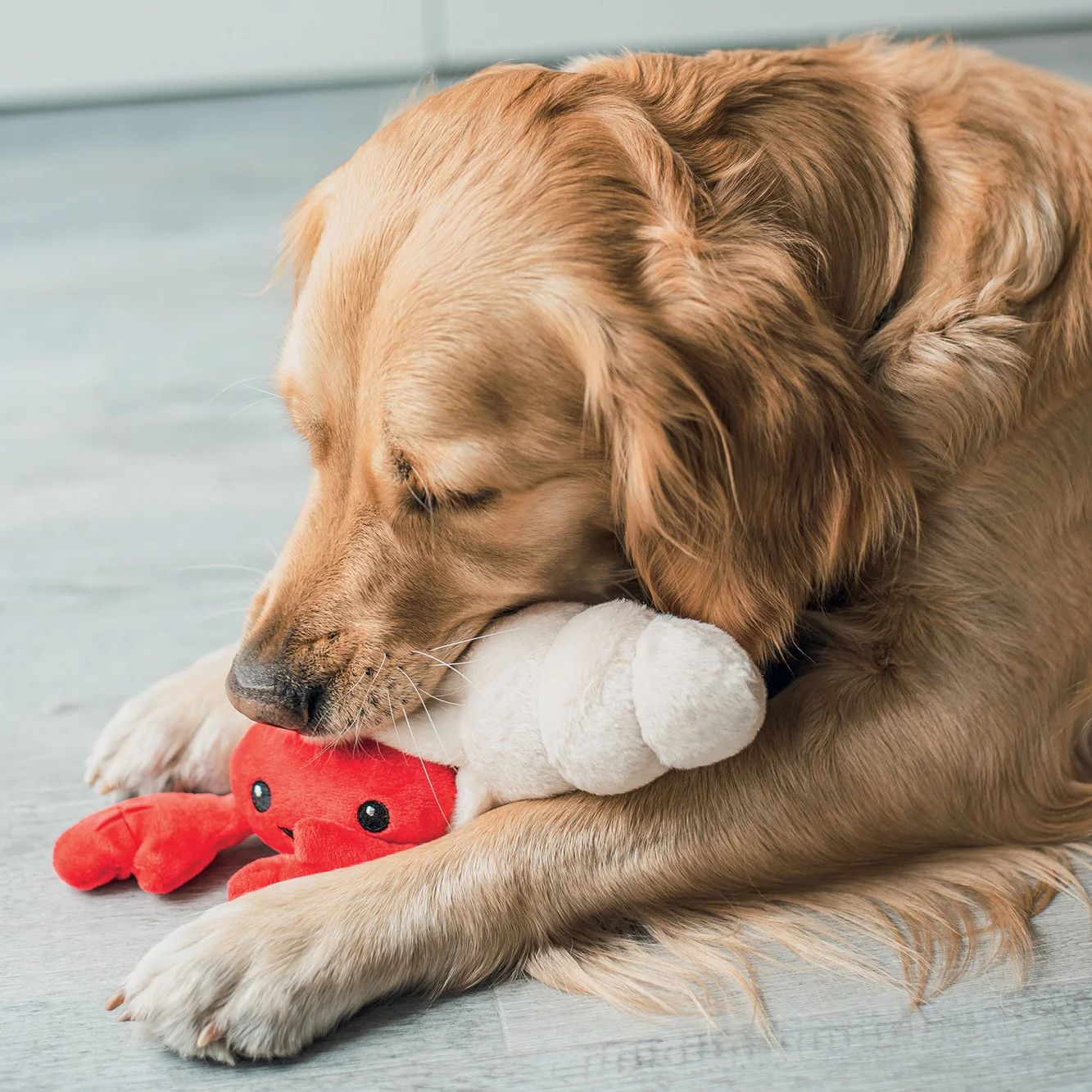 Peluche Bernard l'Hermite – Image 2