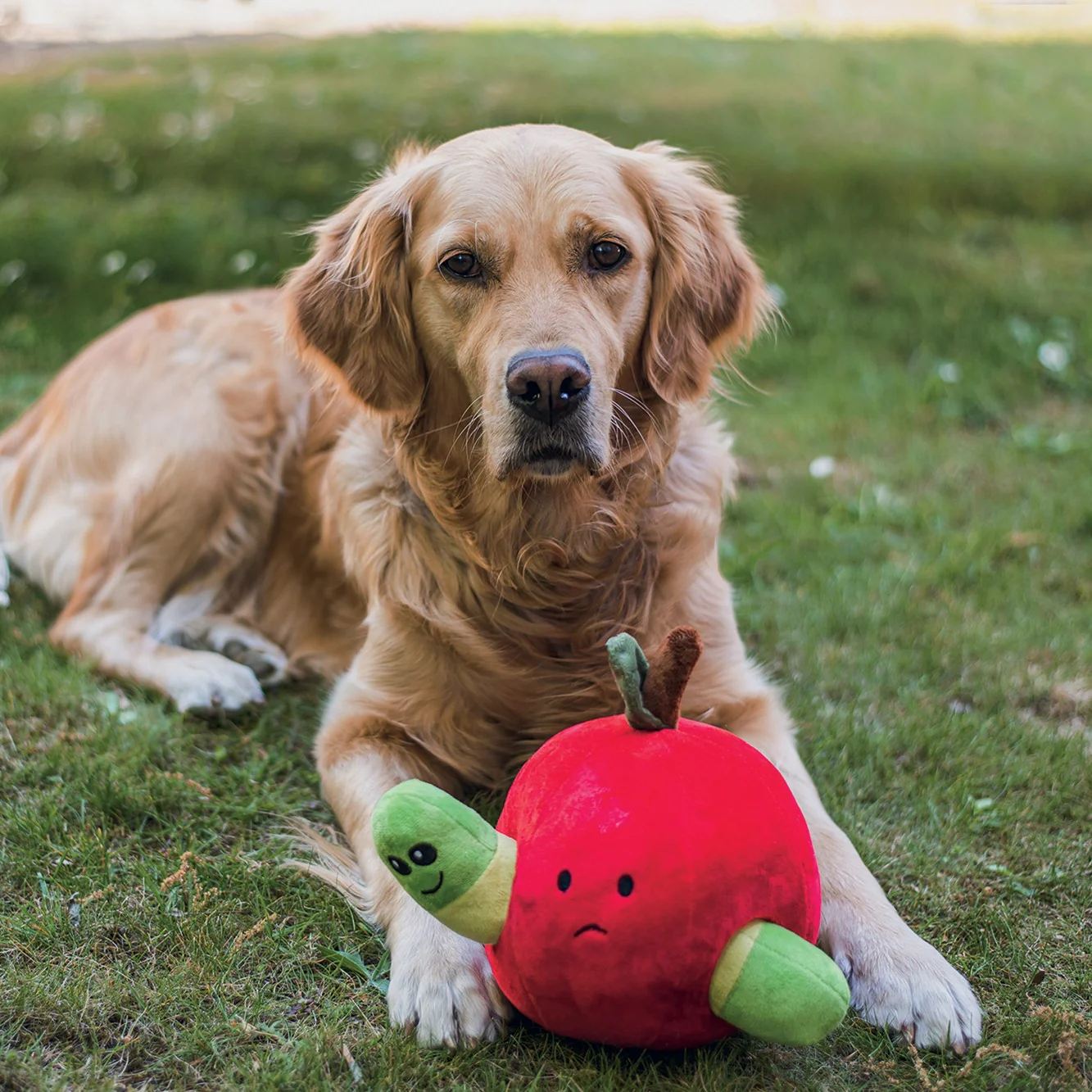 Peluche pomme – Image 2