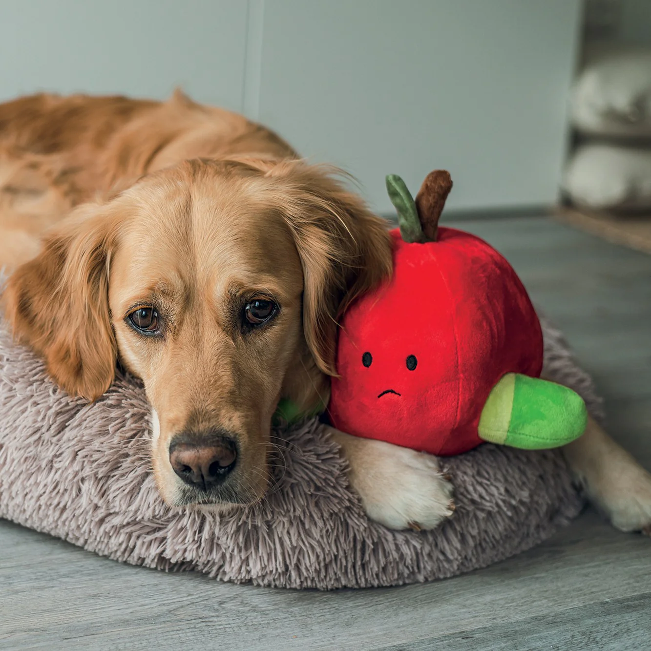 Peluche pomme – Image 3
