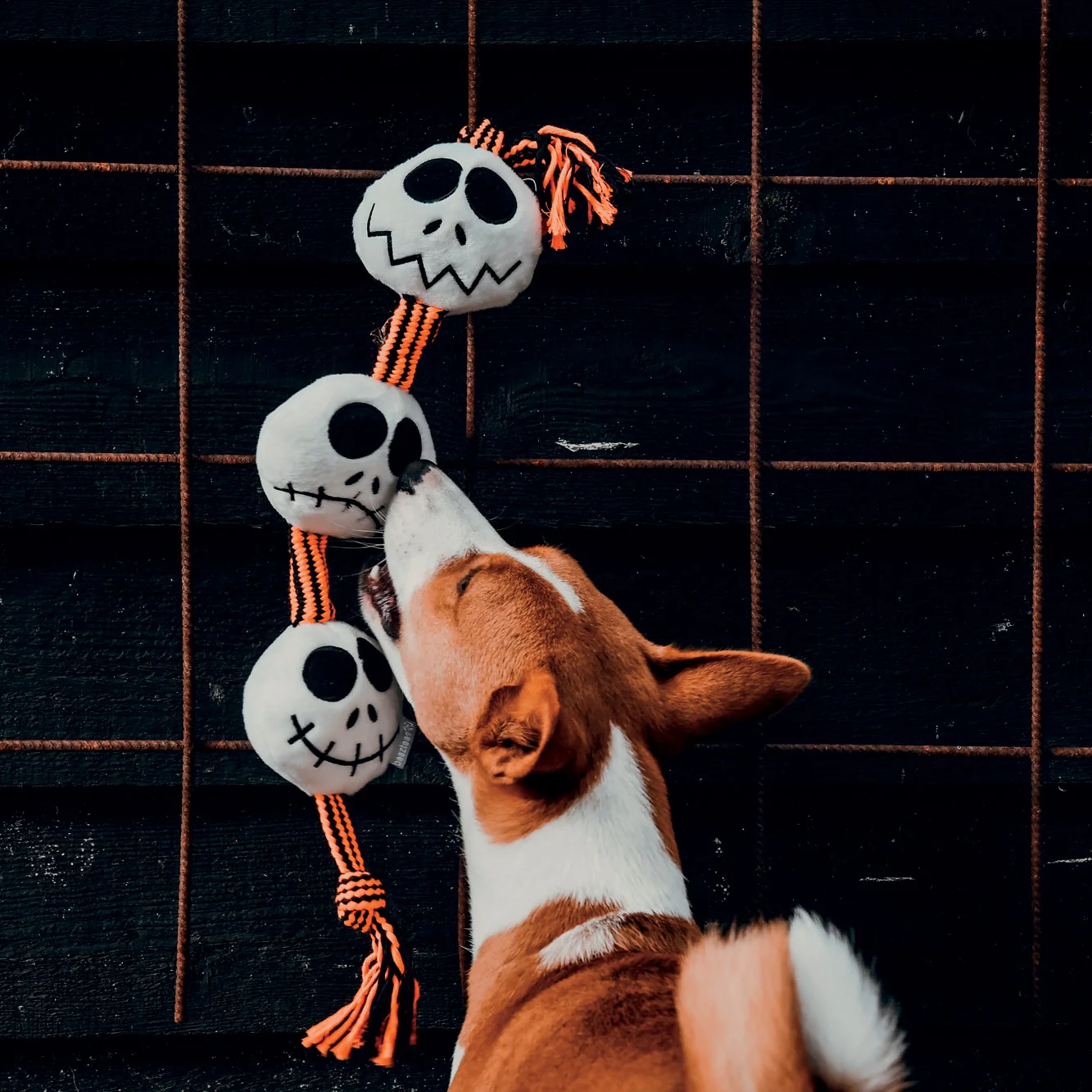 Corde avec balles fantômes – Image 2