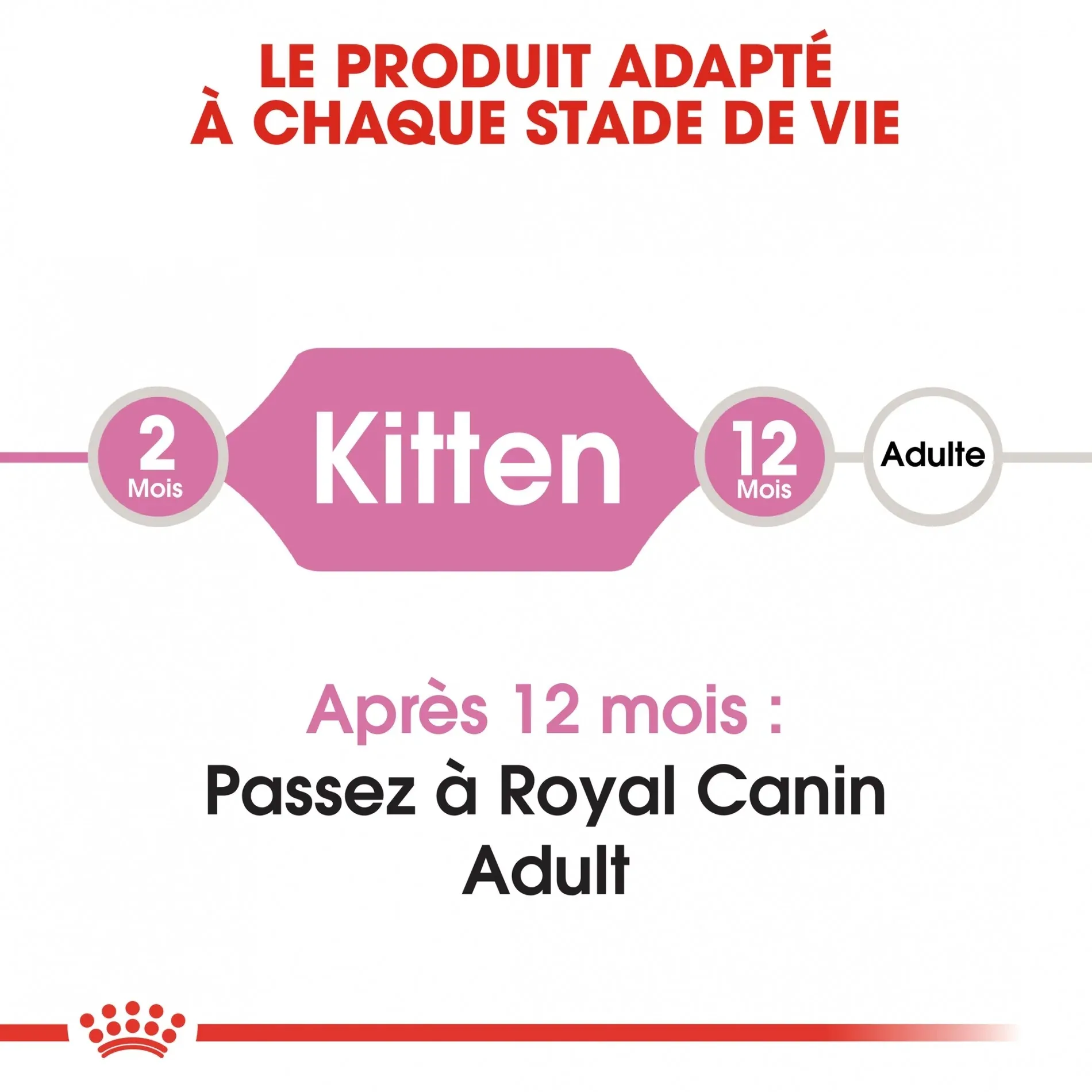 Royal Canin Kitten Second Age – Image 3