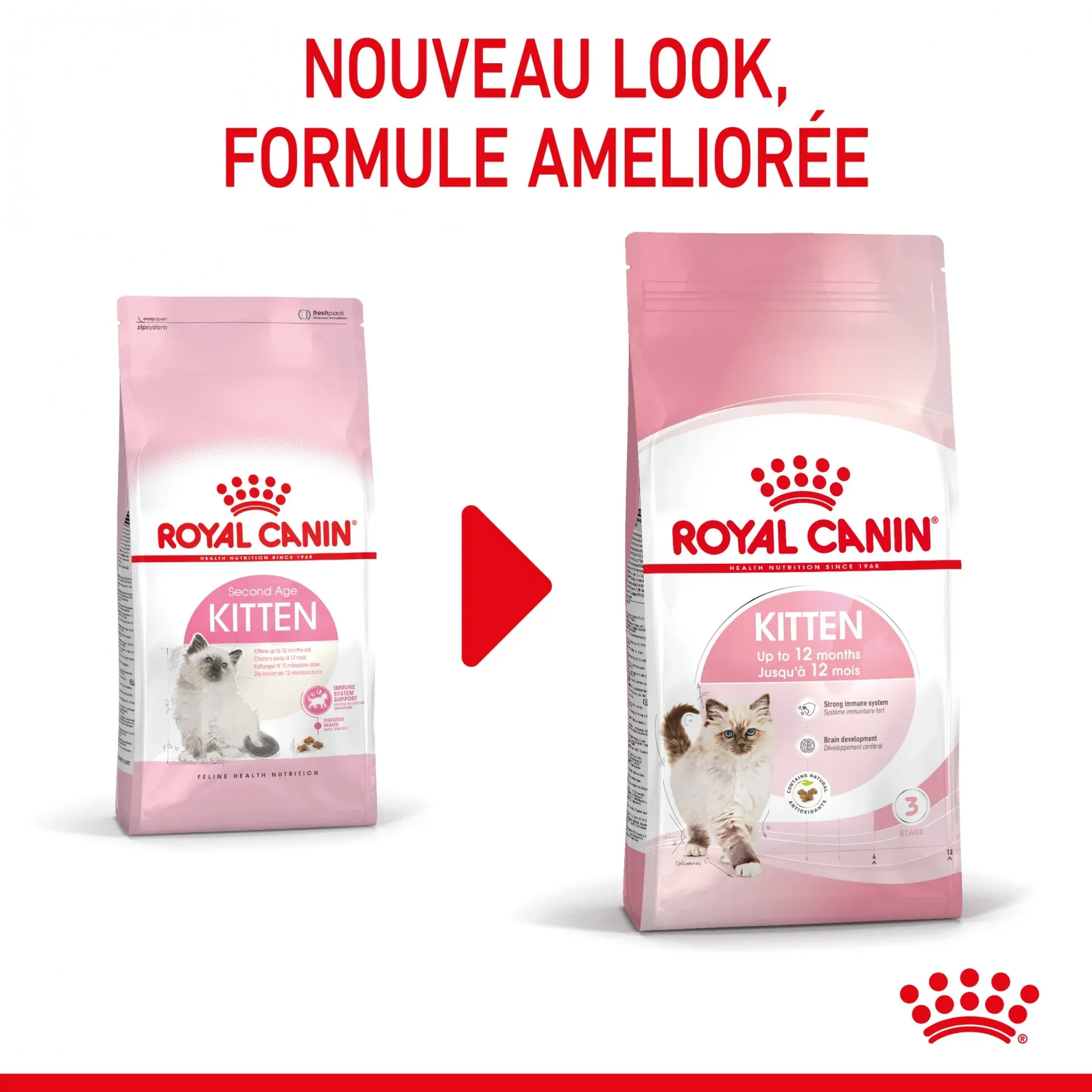Royal Canin Kitten Second Age – Image 6