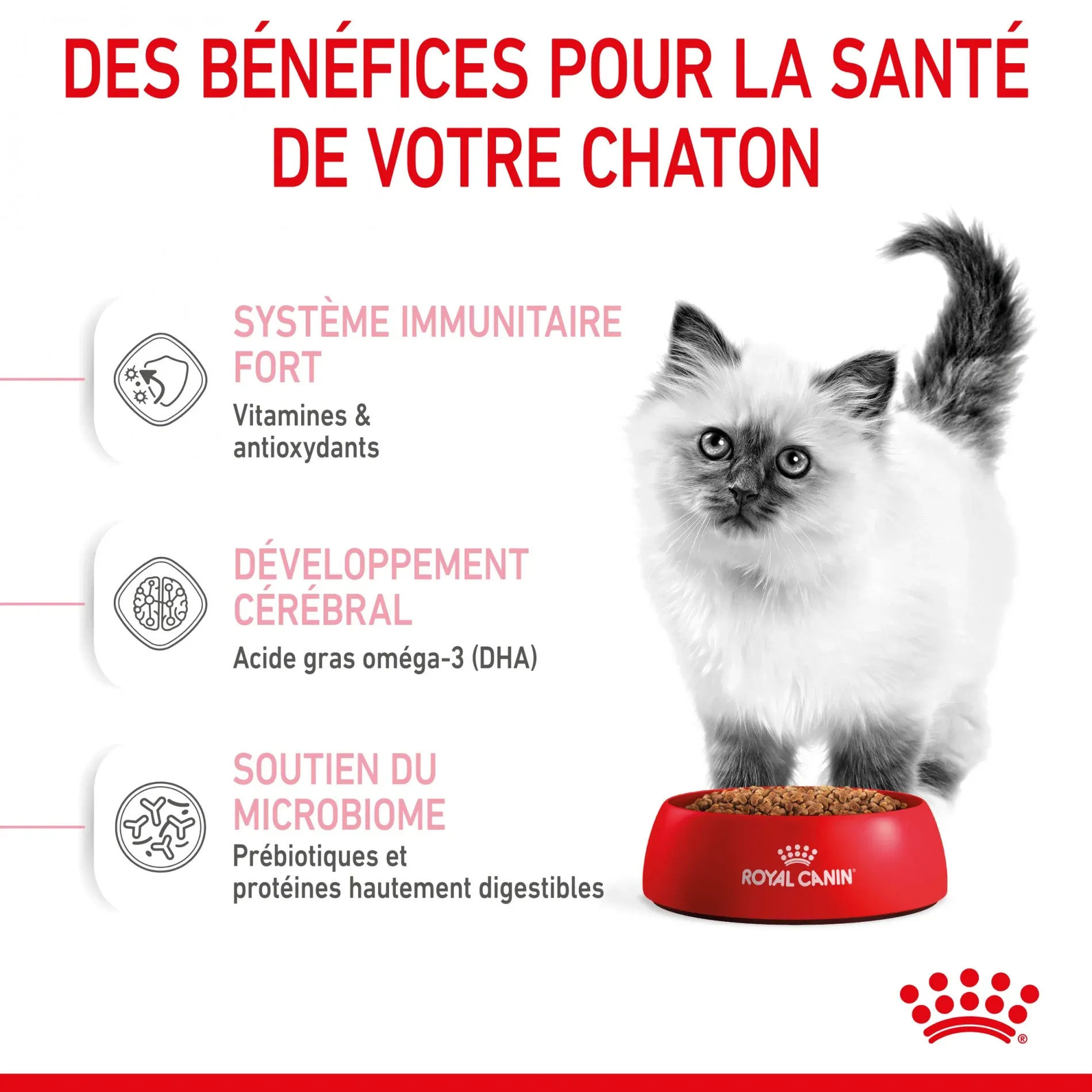 Royal Canin Kitten Second Age – Image 8