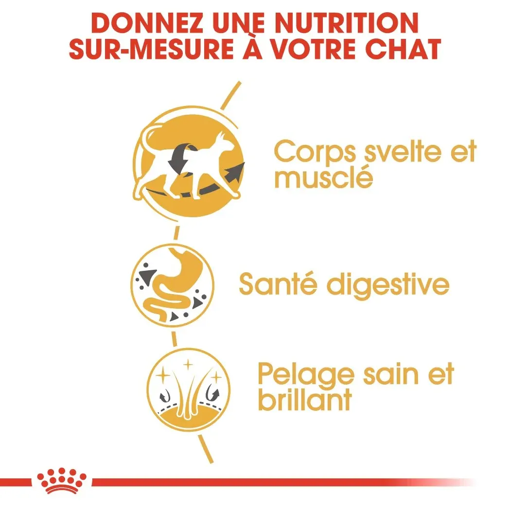 Royal Canin Siamois Adult – Image 7