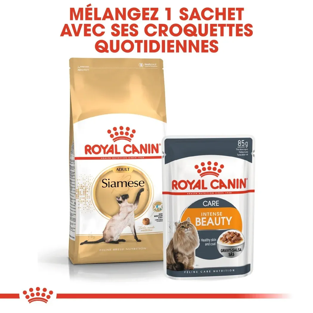 Royal Canin Siamois Adult – Image 8