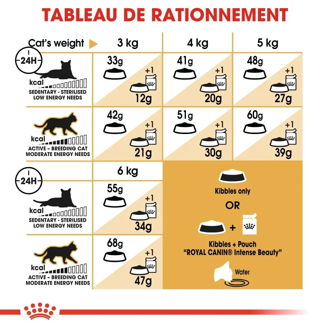 Royal Canin Siamois Adult – Image 9