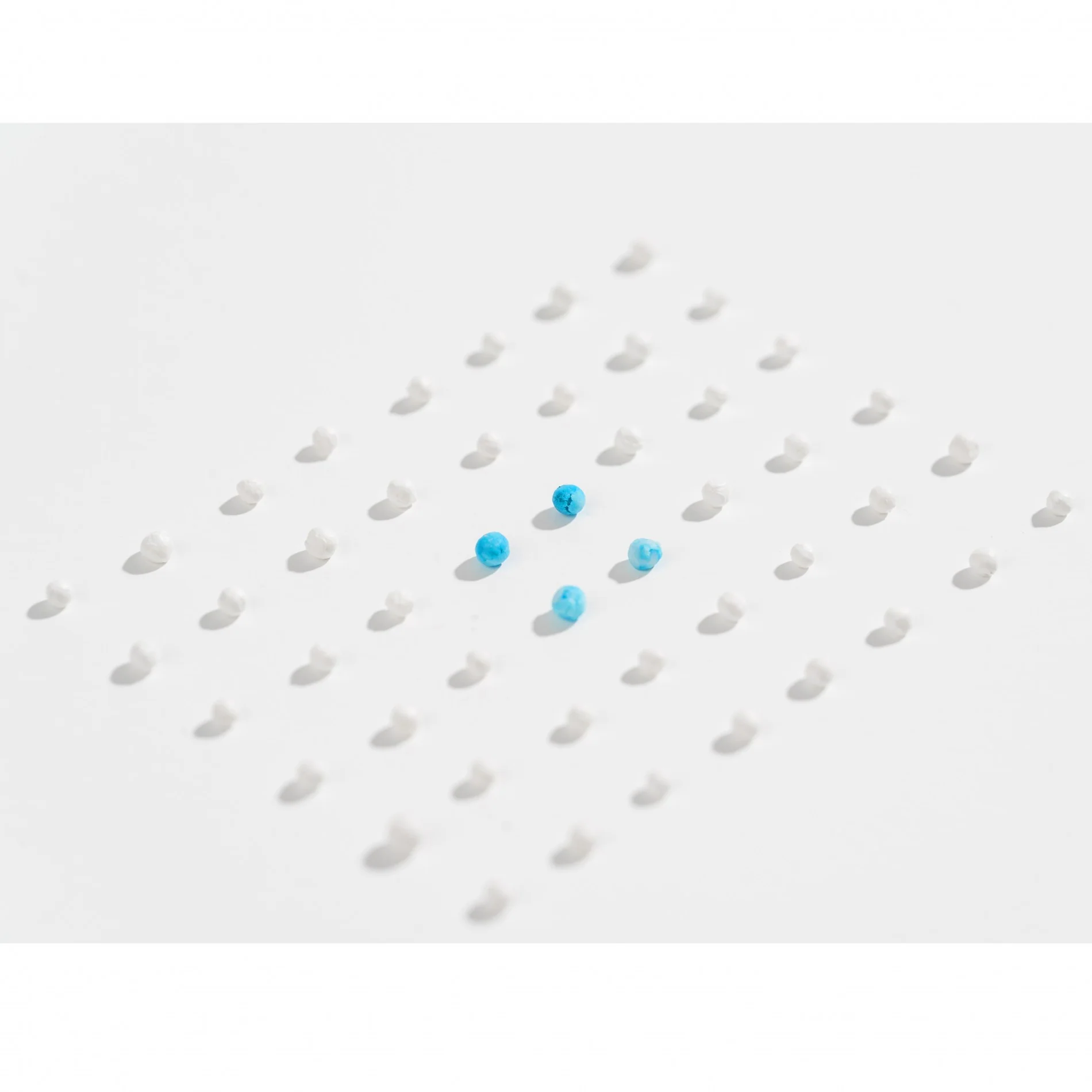 Litière Tofu – Image 6