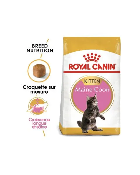 Royal Canin Maine Coon Kitten